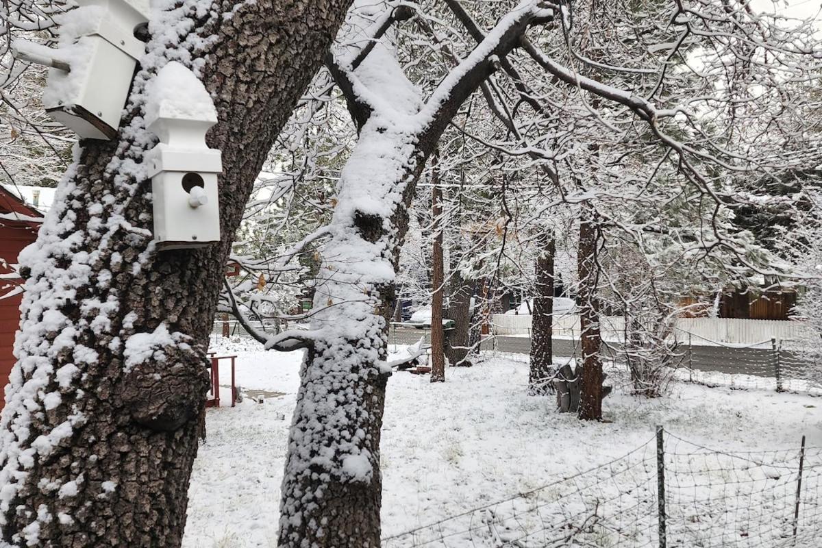 Bear Escapes II Affordable Luxury Cabin Sugarloaf Екстер'єр фото